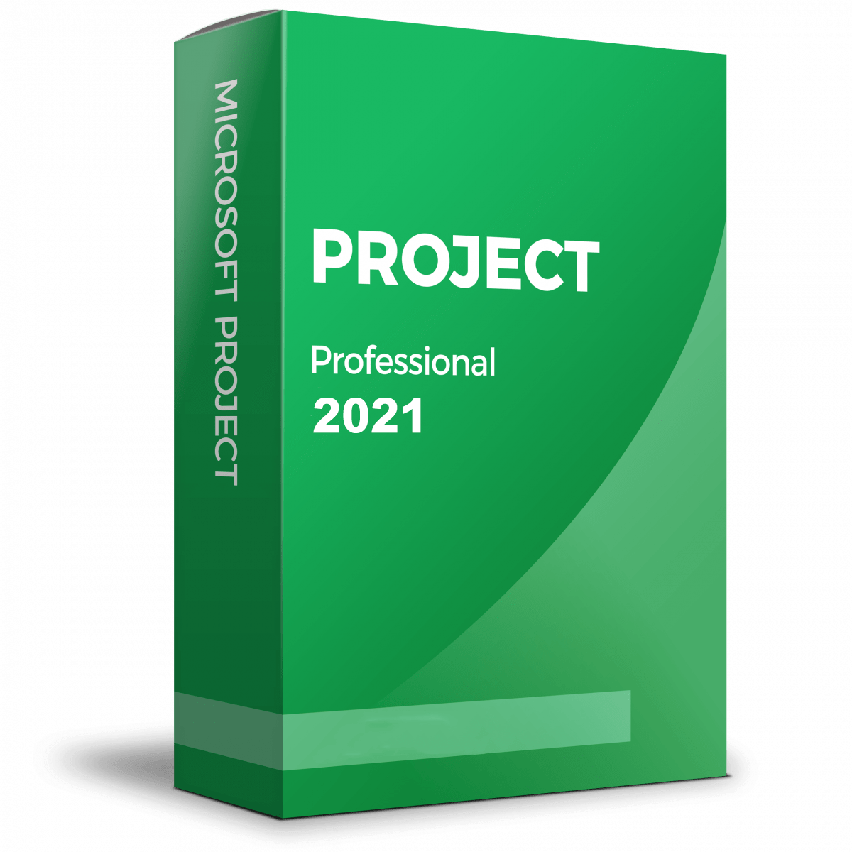 Microsoft Project 2021 Professional (PC) 32/64 Bits (Retail)
